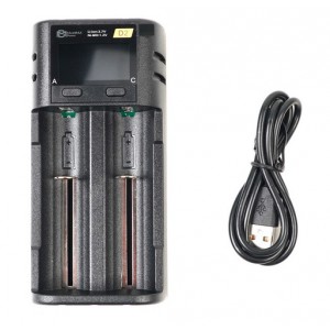 Зарядное устройство D2 LCD Intelligent Charger (2 слота) BlueMax